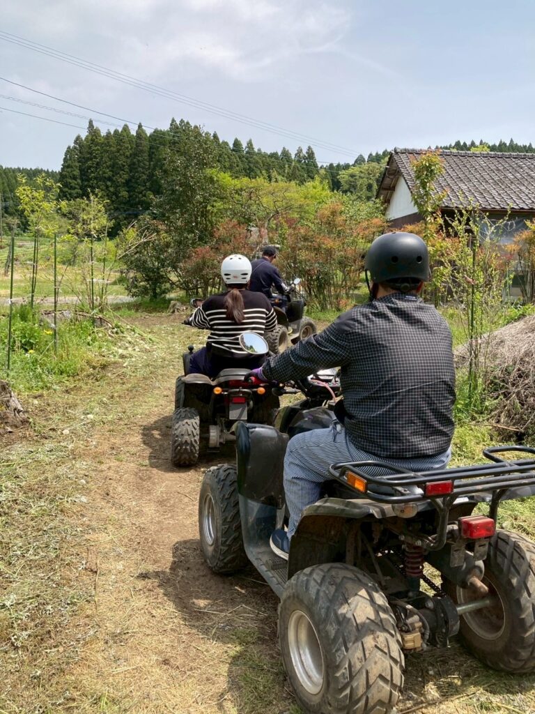 ワンダーランド