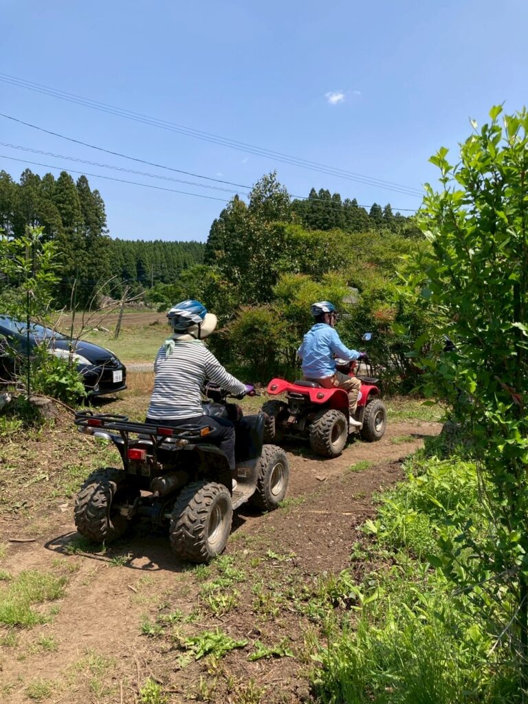 緑の中颯爽と
