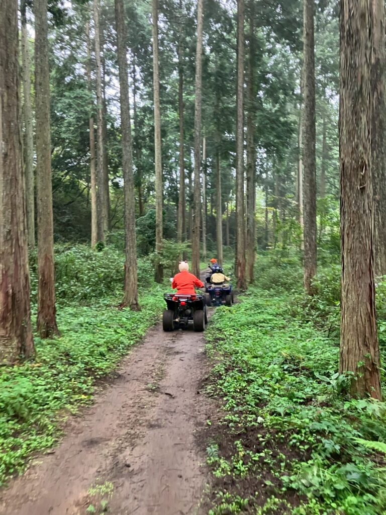 シンガポール万歳